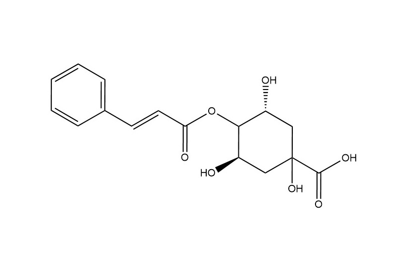 4-O-肉桂?？鼘幩醸5509-70-6